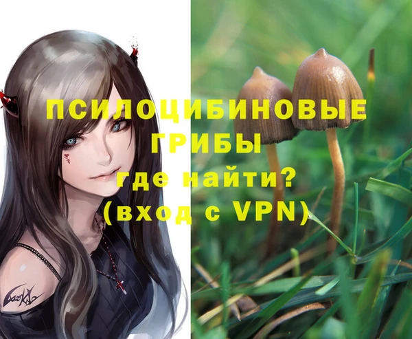 ECSTASY Алексеевка