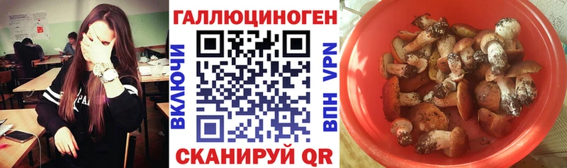 это Telegram  купить   Бирюч  Псилоцибиновые грибы мухоморы 
